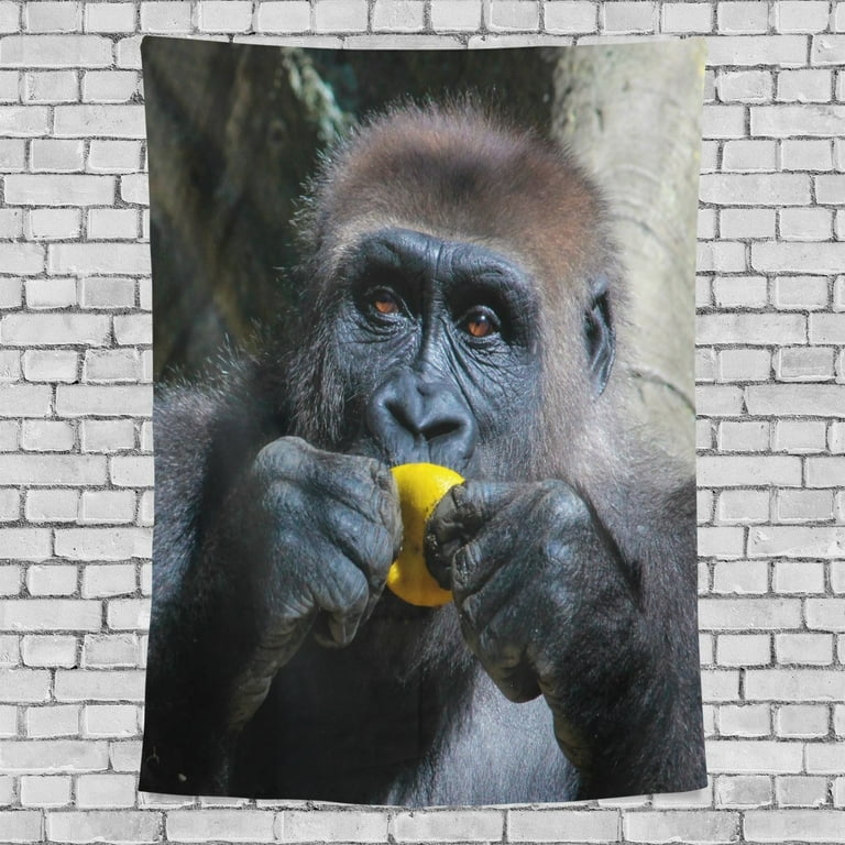 POPCreation Gorilla In The Eating Home Decoration Wall Tapestry 60x40 inches
