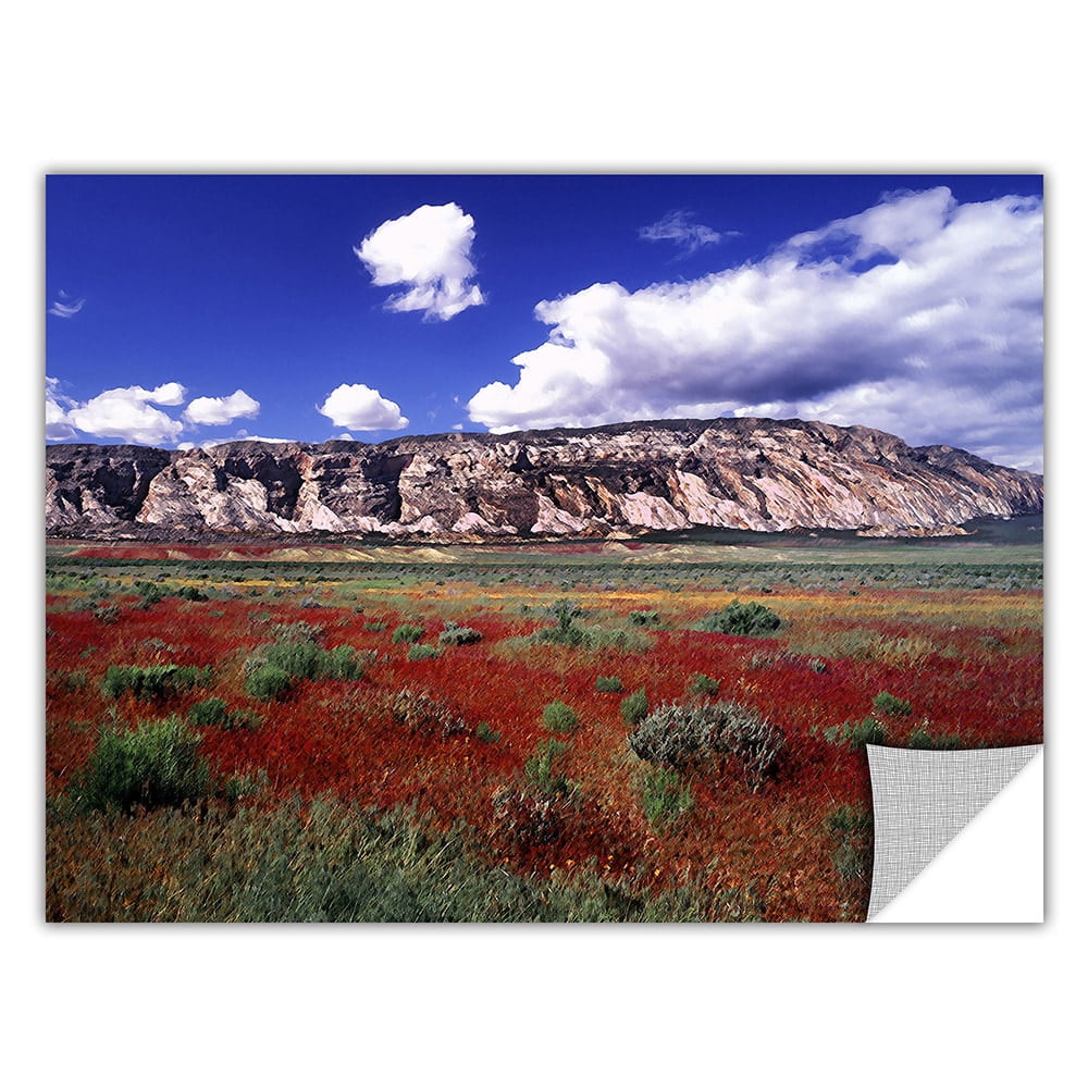 Dean Uhlinger "Dinosaur Colorado" Removable Wall Art