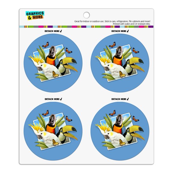 Tropical Birds Selfie Parrot Toucan Refrigerator Fridge Locker Vinyl Circle Magnet Set