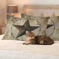 thumbnail image 3 of Vintage Farmhouse Outdoor Waterproof Pillow Covers, Rustic Western Texas Star Shabby Art Decorative Rectangle Throw Pillowcase Sofa Cushion Sham for Patio/Couch/Chair, 20"x12" 2 Pack, 3 of 8