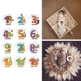 thumbnail image 2 of 12 Pcs/Set Cartoon Animal Baby Monthly Stickers Photography Commemorative Card Number Photo Props Newborn Milestone Memorial Month Stickers, 2 of 4
