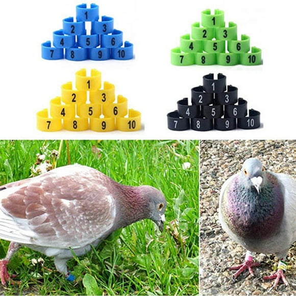 Cheers 100Pcs Bird Poultry Parrot Chicks Plastic 1-100 Numbered Pigeon Leg Bands Rings