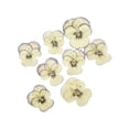 thumbnail image 2 of Injueey 12 Pieces Dried Flower Crafts Simple Accessories Craft DIY Make Adornment Pressed Exquisite Handicrafts Flowers Makeup Type5 NO5, 2 of 6