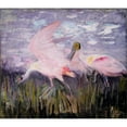 thumbnail image 3 of Abbott Handerson Thayer 14x12 Black Modern Framed Museum Art Print Titled - Roseate Spoonbills, Study for Book Concealing Coloration in the Animal Kingdom (ca. 1905-1909), 3 of 5