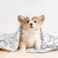 thumbnail image 4 of Disketp Rabbit Eating Dog Blanket/Bed Cover for Dogs and Cats,Puppy Essentials-Small, 4 of 8