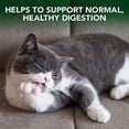 thumbnail image 3 of Cat Hairball Relief Digestive Aid Vet Formulated Hairball Support Remedy  Classic Chicken Flavor, 3 of 4