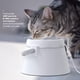 thumbnail image 3 of PB-16 DADDYPET Fuente de agua para gatos LED inteligente ultra silencioso de acero inoxidable, 3 of 8