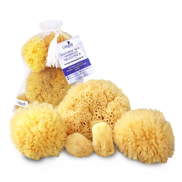 Paquete múltiple de esponjas de mar naturales reales, juego de regalo de spa de 5 piezas en bolsa premium, amable con la piel para baño, ducha, limpieza facial, mima a mamás, novias y adolescentes (pa