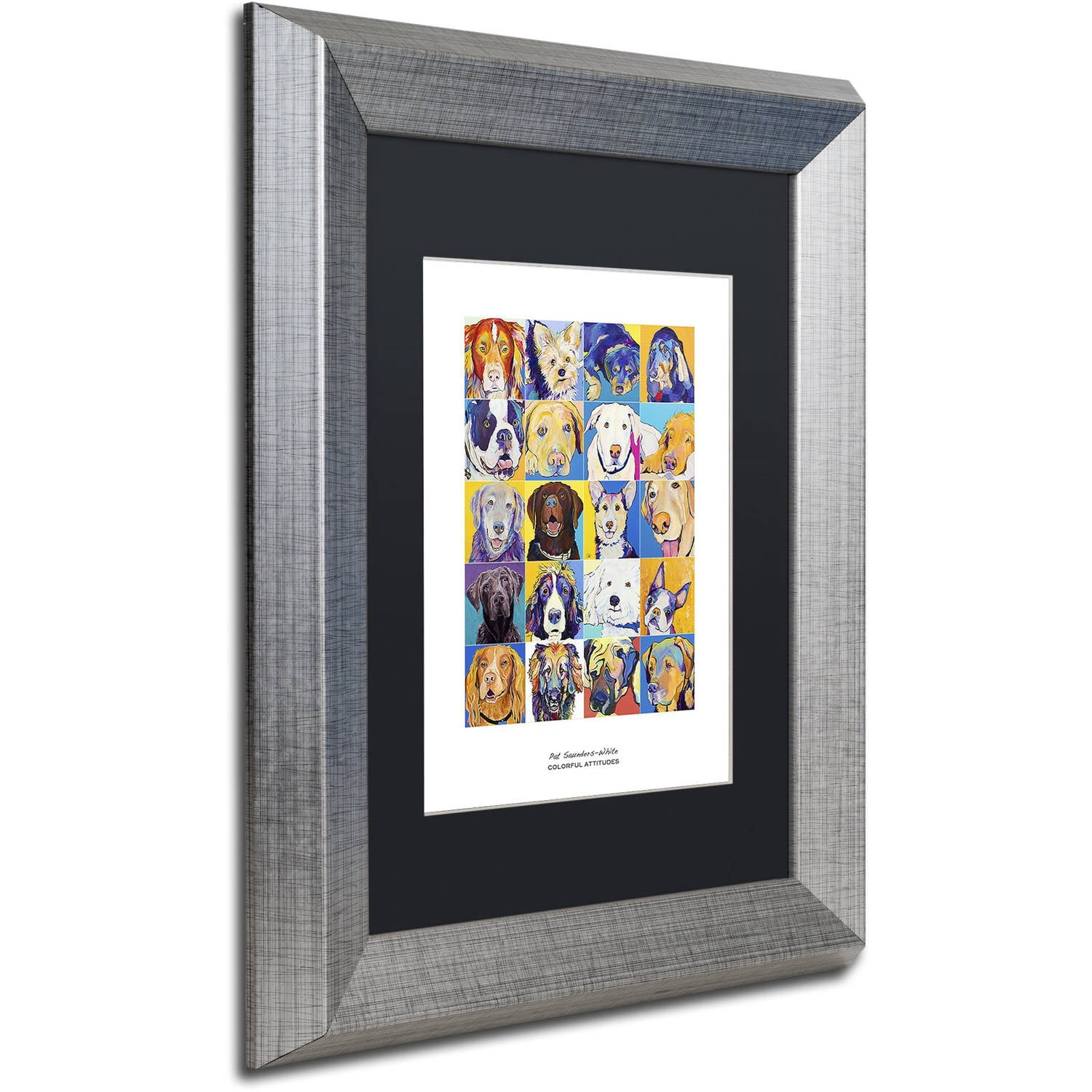Trademark Fine Art "Colorful Attitudes Poster" Canvas Art by Pat Saunders-White, Black Matte, Silver Frame