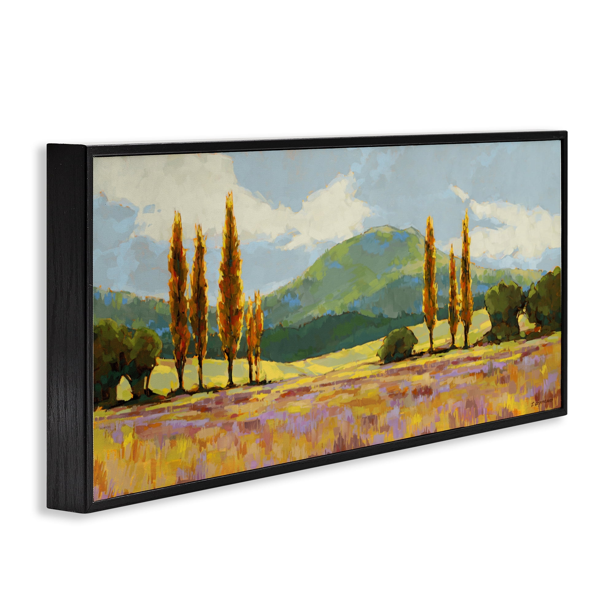 Stupell Industries Countryside with Dabbled Pastels Black Framed Giclee Art, design by Trevor Copenhaver
