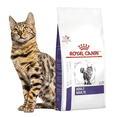 thumbnail image 2 of ROYAL CANIN ADULT FELINE 10 KG ORIGINAL SELLADO, 2 of 2