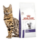 thumbnail image 2 of ROYAL CANIN ADULT FELINE 10 KG ORIGINAL SELLADO, 2 of 2