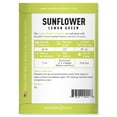 thumbnail image 2 of Lemon Queen Sunflower Seeds, 2 of 7