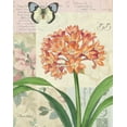 thumbnail image 2 of Gladding, Pamela 12x14 Gold Ornate Wood Framed with Double Matting Museum Art Print Titled - Clivia Floral Collage, 2 of 4