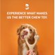 thumbnail image 3 of Juguete masticable para perros BetterBone, de densidad dura, totalmente natural, sin nailon, 3 of 6
