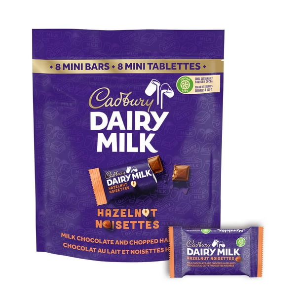 Cadbury Dairy Milk, mini tablettes de chocolat aux noisettes CDM noitsette Mini 152g