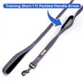 thumbnail image 5 of Pawtitas Double Handle Dog Leash Ideal for Medium and Large Dogs Training Dog Leash - Medium / Large - Purple Orchid, 5 of 7