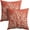 Pink Coral-1, variant on Summer Light Blue Starfish Pillow Covers 16x16 Inch Set of 2 Blue Beach Sea Coral Throw Pillowcase Cotton Linen Square Decorative Nautical Coastal Cushion Cover for Sofa Bedroom Indoor Outdoor Party