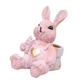thumbnail image 1 of Flower Pot de Pascua Cesta de Huevo de La Pascua Resin Bunny Decor Container Estatua de Conejo Figura de Conejito para La Sala de Estar de La Césped D Rosa, 1 of 8