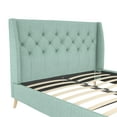 Novogratz Her Majesty Tufted Upholstered Bed Frame, Queen, Light Green