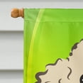 thumbnail image 3 of Carolines Treasures BB2002CHF Buff Caniche St. Patricks Jour Toile Maison Drapeau, 3 of 4