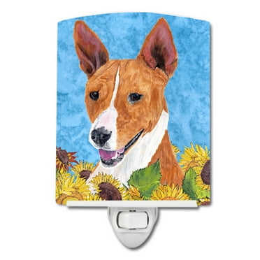 Caroline's Treasures SC9054CNL Basenji in Summer Flowers Ceramic Night Light, 6x4x3", multicolor