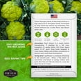 thumbnail image 5 of 2 Packs Green Macerata Cauliflower Seeds - Heirloom Biennial Full Sun Vegetable, 5 of 6