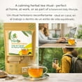thumbnail image 6 of Chanca Piedra & Horsetail (Cola de Caballo) Herbal Tea – 24 Tea Bags (2000 mg Each) – Traditional Herbal Infusion – 100% Natural, Non-GMO, Caffeine-Free –Vegan, 6 of 9