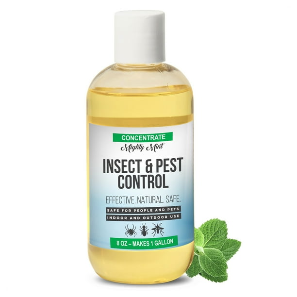 Mighty Mint 8oz Insect and Pest Control Peppermint Concentrate