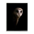 thumbnail image 2 of Stupell Industries Beautiful Intense Barn Owl Black Shadow Photography Portrait , 24 x 30, Design by Incado, 2 of 5