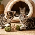 thumbnail image 7 of Catnip and Silvervine Chew, Natural Fishbone Chew Toy for Cats, Fishbone-Shaped Cat Dental Toy for Chewing, Licking, Pawing, Boredom Relief & Enrichment for Cats&nbsp;, 7 of 7