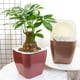 thumbnail image 2 of Bewildely Decore el jardín con macetas con estilo - Macetas duraderas para interiores y exteriores para plantas de interior Lavabo interior Jardín y Patio cuadrado plata oro G109, 2 of 6