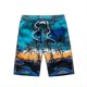 thumbnail image 1 of Coconut Sea Breeze Shorts Blue L, 1 of 2