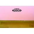 thumbnail image 1 of Custom Decals Class Of 2030 Wall Art Size: 14 X 28 Inches Color: Black, 1 of 1