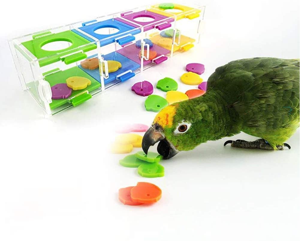 Bird Toys, Colorful Parrot Intelligence Toys Interesting Birds Training