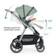 thumbnail image 5 of BebeRoad RX 3-in-1 Foldable Baby Stroller, Reversible Seat 5 Point Harness Infant Stroller with Sunshade Rain Cover Mosquito Net & Large Storage Basket, Green, 5 of 7