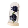 thumbnail image 1 of AMLESO Creative Flower Arrangement Crafts with Light Flowers Glass Cover Decoration for Blue, 1 of 8