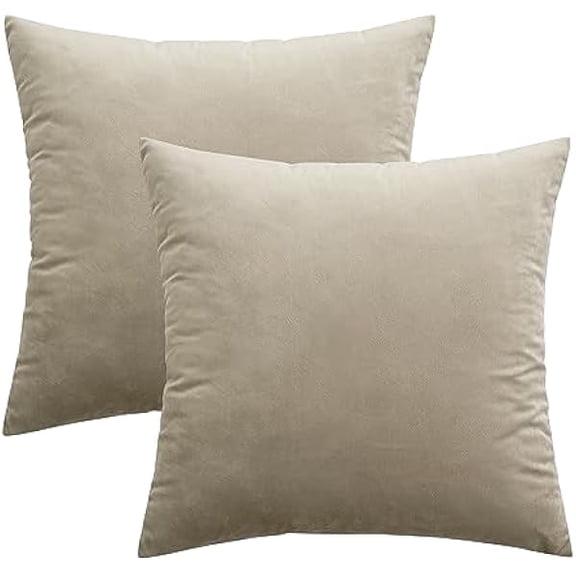 Eryueer Velvet Cushion Covers Soft Decorative Square Throw Pillow Case Pillowcases for Livingroom Sofa Bedroom with Invisible Zipper 20"x20" 50cm x 50cm 2 Pieces Taupe