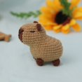 thumbnail image 1 of Capybara DIY Crochet Kit Beginner Starter Set With Yarn And Hook 15x10cm, 1 of 6