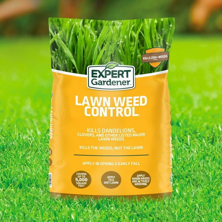 When And How To Apply Weed Killer On Lawn: Expert Tips