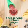 thumbnail image 4 of (10 pack) Beech-Nut Organics Stage 2 Organic Apple & Blueberries Baby Food, 4 oz Jar, 4 of 10