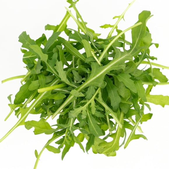 HIGHGW Graines de Roquette Roquette 5 g (-2000–3000 Graines), Verdures à Croissance Rapide Type Salade Non OGM Feuillues Légumes à Récolte Rapide pour Contenants et Culture Extérieure