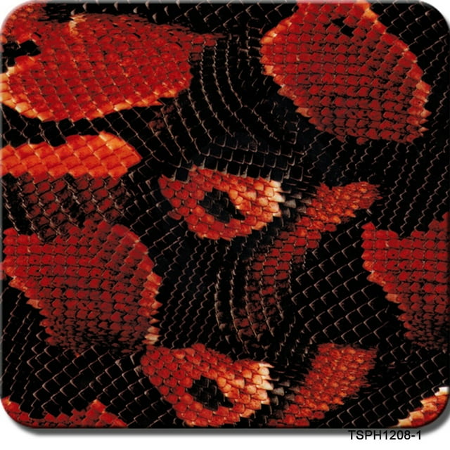 Film Hydrographique, Film Hydro dip-Texture Animale-Haute Résolution Graphique-film d'Impression par Transfert d'Eau-film Hydro Dip - 0,5 Mètre Multi-Couleur en Option, Facile à Utiliser