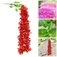 thumbnail image 2 of Wisteria Hanging Flowers, 3.6 Feet/Pcs Wisteria Artificial Flowers, Fake Wisteria Flowers Garland, Hanging Wisteria Vines for Bedroom Wedding Home Party Wall Decoration,Red,31.49", 2 of 9
