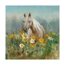 Trademark Fine Art 'Farm and Field II' Canvas Art by Danhui Nai