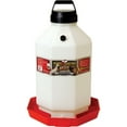 thumbnail image 2 of Little Giant PPF7 7 Gallon Automatic Poultry Waterer for Chickens, Red (4 Pack), 2 of 2