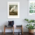 thumbnail image 3 of Art.com Pl 242 Snowy Heron Art Print by John James Audubon, White Frame Wall Art, 32" x 44", 3 of 5