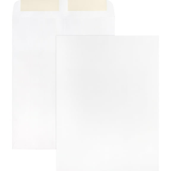 Business Source, BSN42102, 28 lb. White Catalog Envelopes, 250 / Box, White