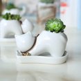 thumbnail image 1 of Creative White Ceramic Fleshy Flower Pot Home Furnishings, 1 of 7