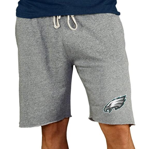Men's Concepts Sport Gray Philadelphia Eagles Mainstream Terry Shorts